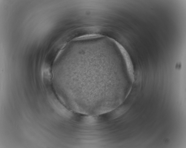 X0000110940238200907022140