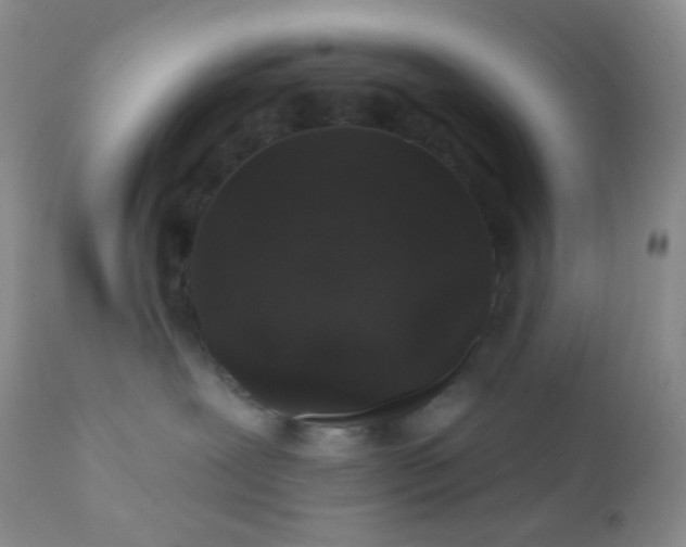 X0000110940239200907022140