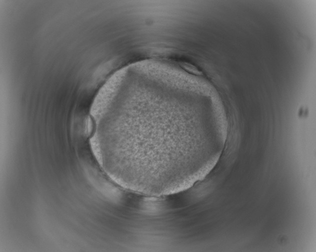 X0000110940240200907022140