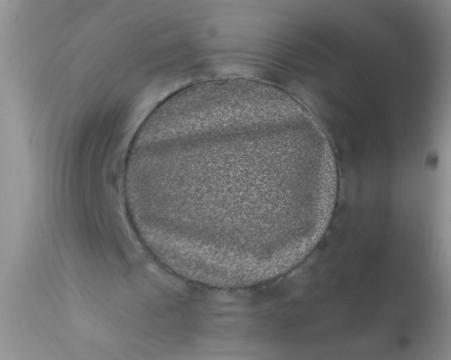 X0000110940241200907022139