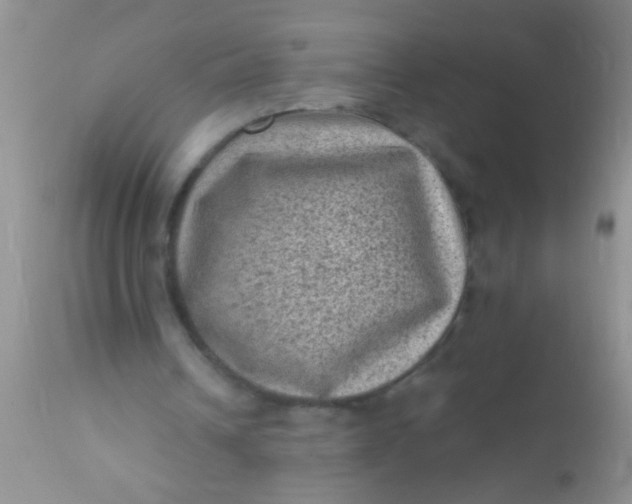 X0000110940242200907022139