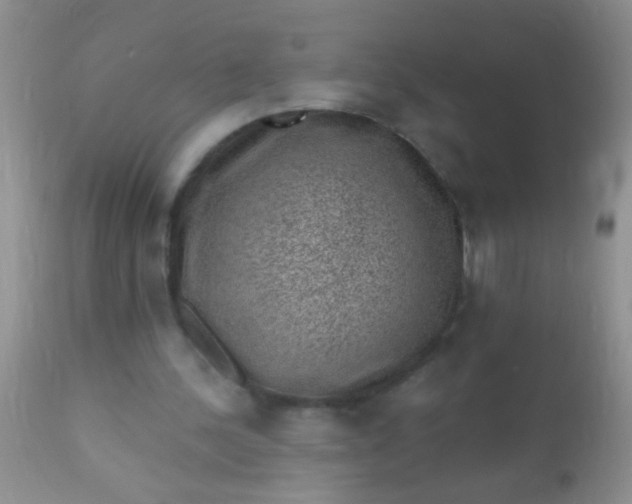 X0000110940244200907022139