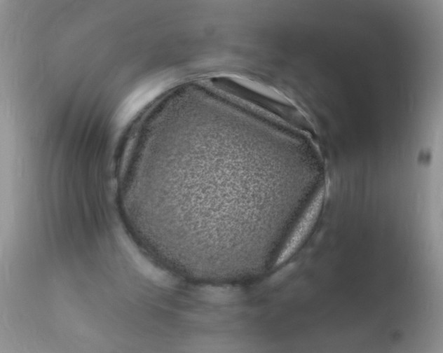 X0000110940245200907022139