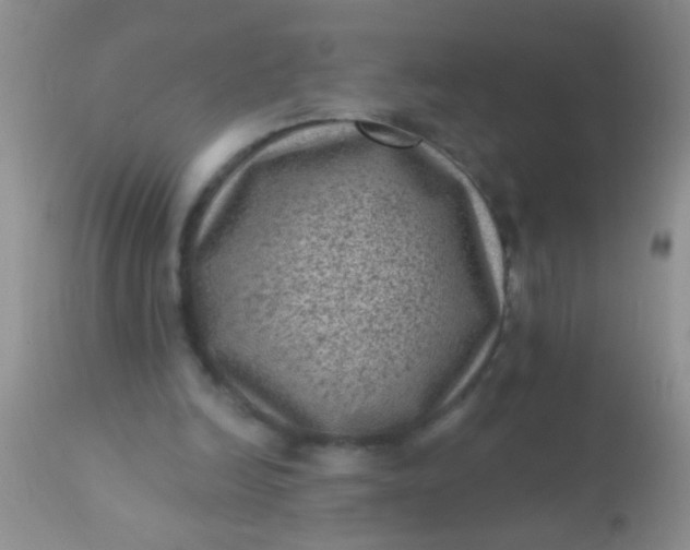 X0000110940246200907022139