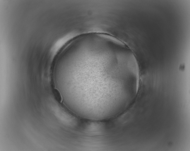 X0000110940248200907022140