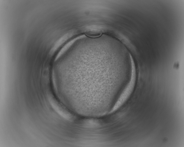 X0000110940250200907022140