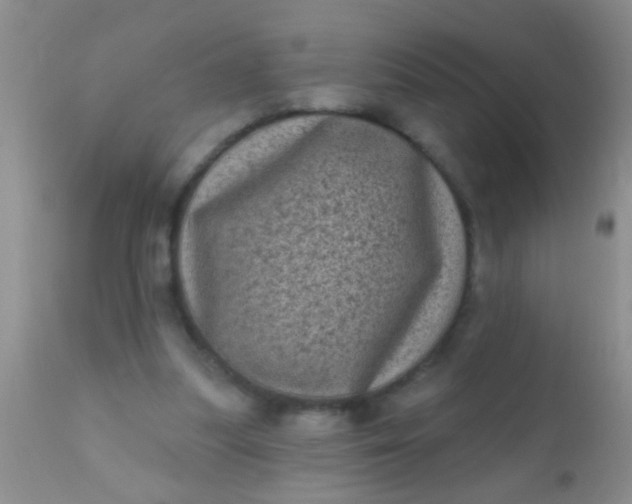 X0000110940251200907022140