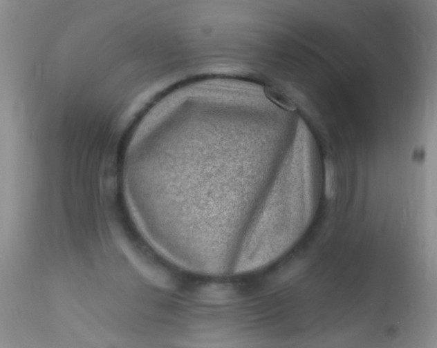 X0000110940252200907022140