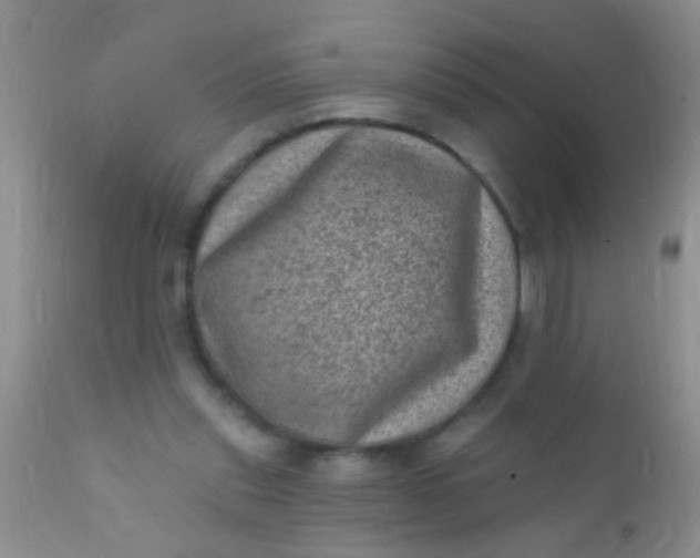 X0000110940253200907022140