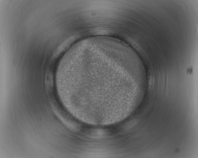 X0000110940254200907022140