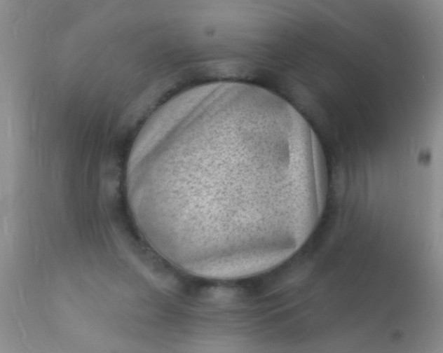 X0000110940255200907022140