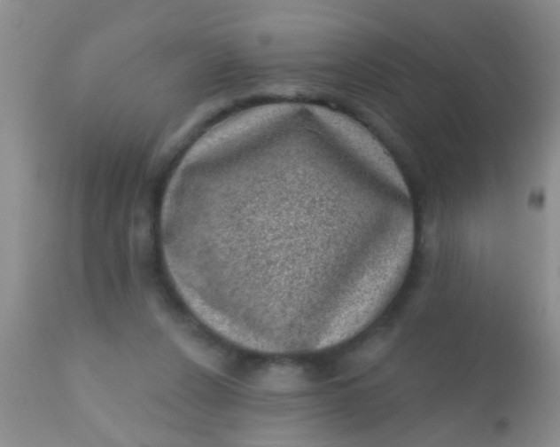 X0000110940256200907022140