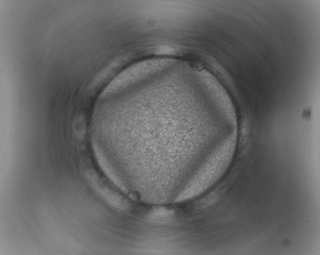 X0000110940257200907022140