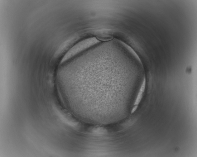 X0000110940258200907022140