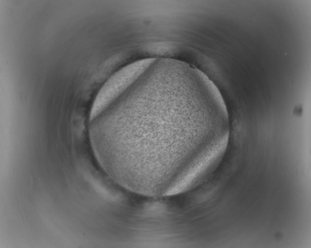 X0000110940259200907022140