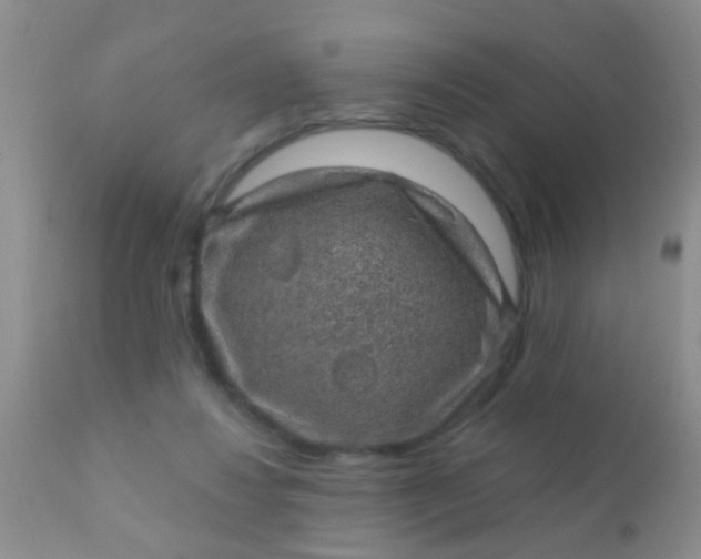 X0000110940260200907022140