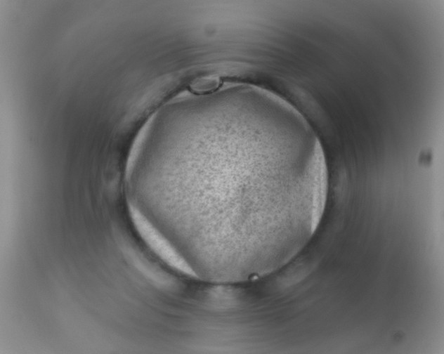 X0000110940261200907022140