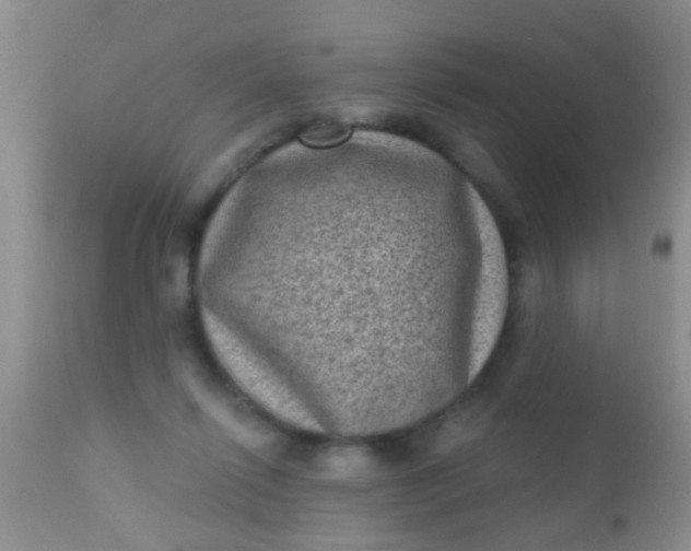 X0000110940262200907022140