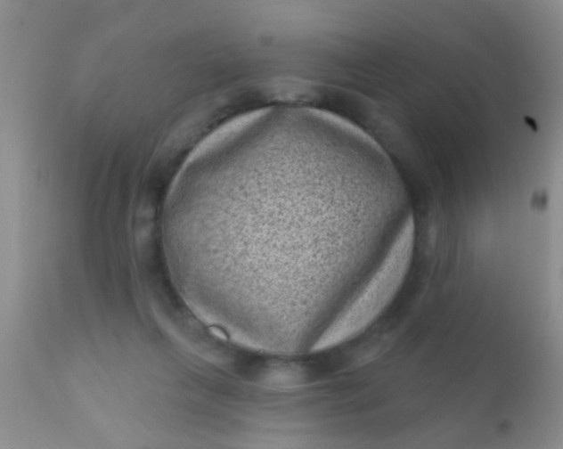 X0000110940263200907022140