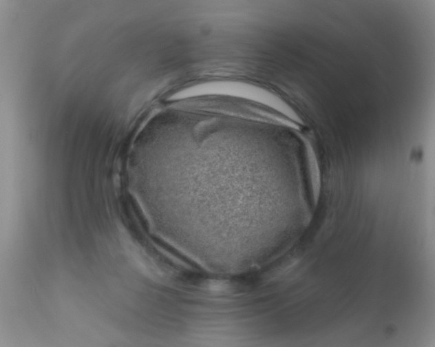 X0000110940264200907022140