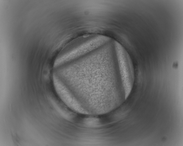 X0000110940266200907022140