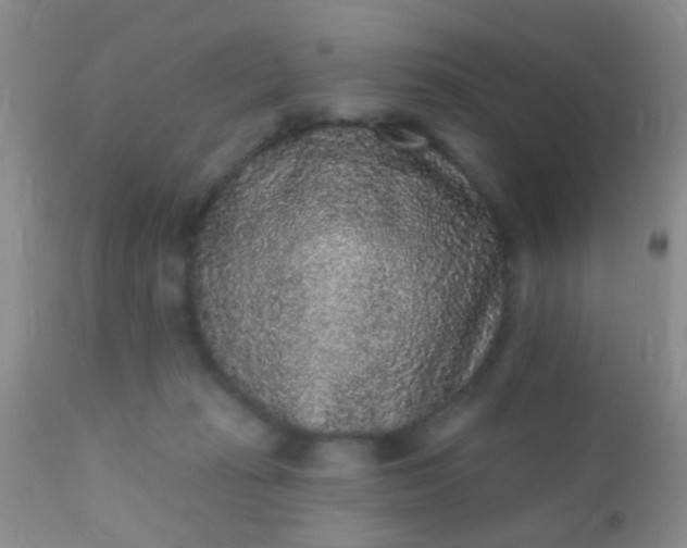 X0000110940269200907022140