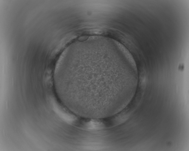 X0000110940270200907022140