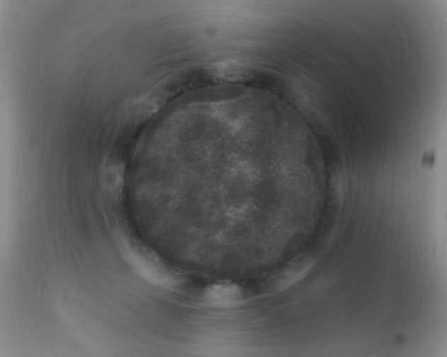 X0000110940271200907022140