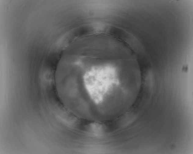 X0000110940272200907022140