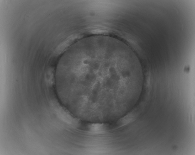 X0000110940273200907022140