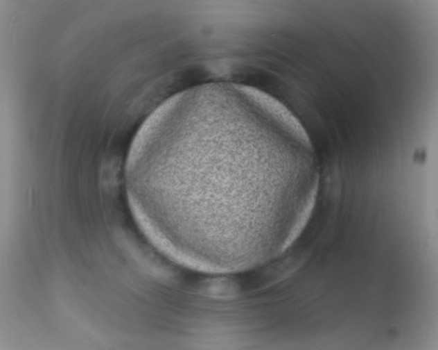 X0000110940275200907022140