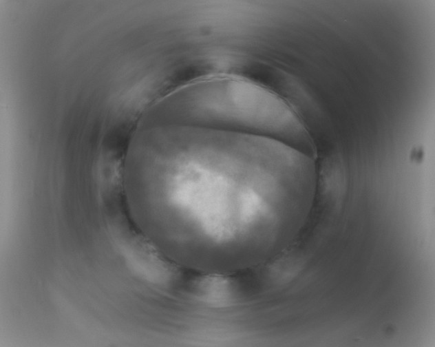 X0000110940276200907022140