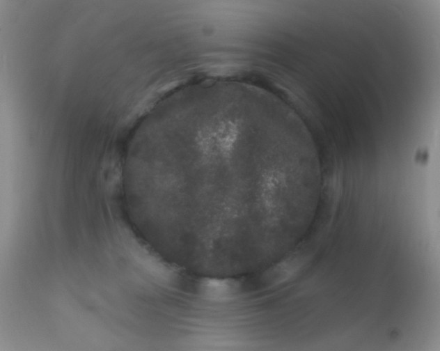 X0000110940277200907022140