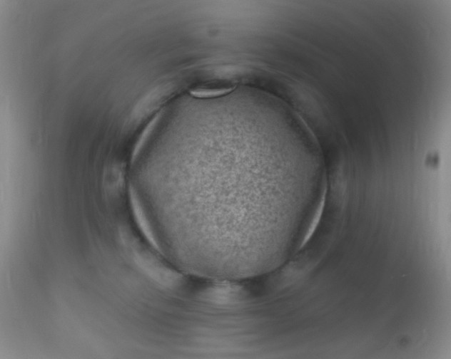 X0000110940278200907022140