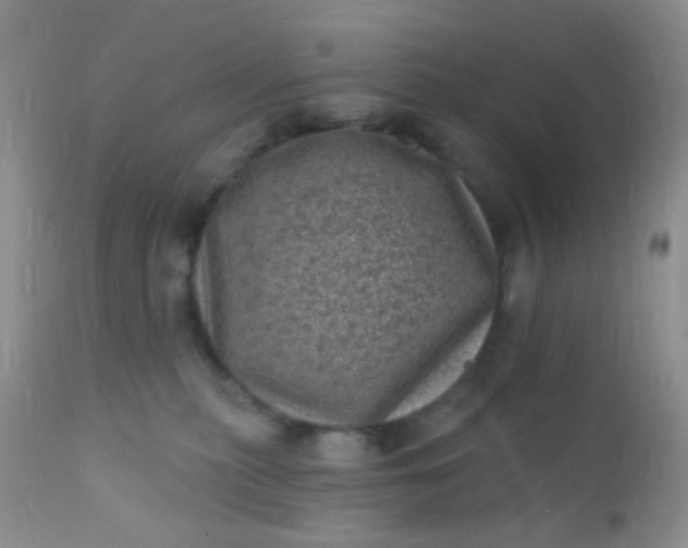 X0000110940279200907022140