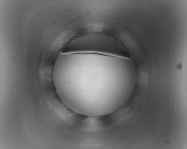 X0000110940280200907022140