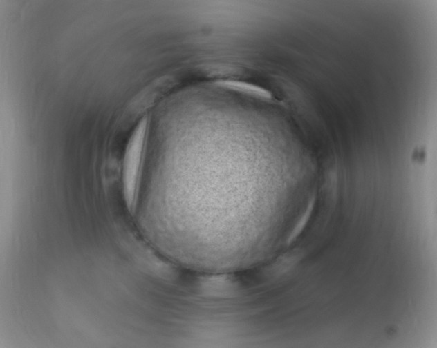 X0000110940281200907022140