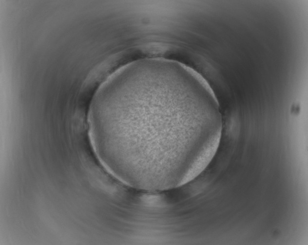 X0000110940283200907022140