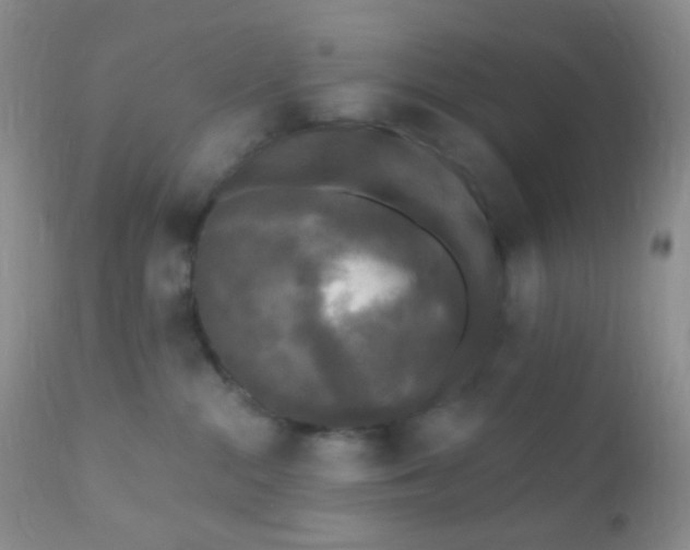 X0000110940284200907022140