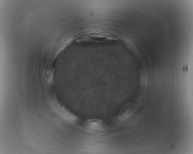 X0000110940285200907022140