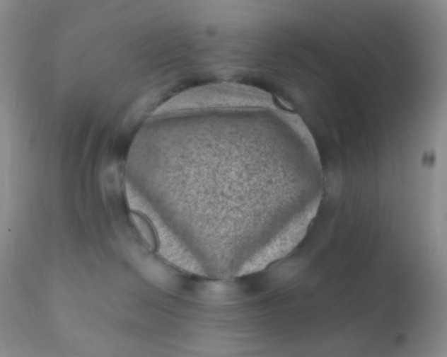 X0000110940286200907022140