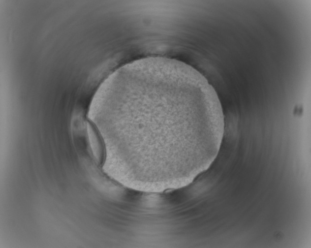 X0000110940287200907022140