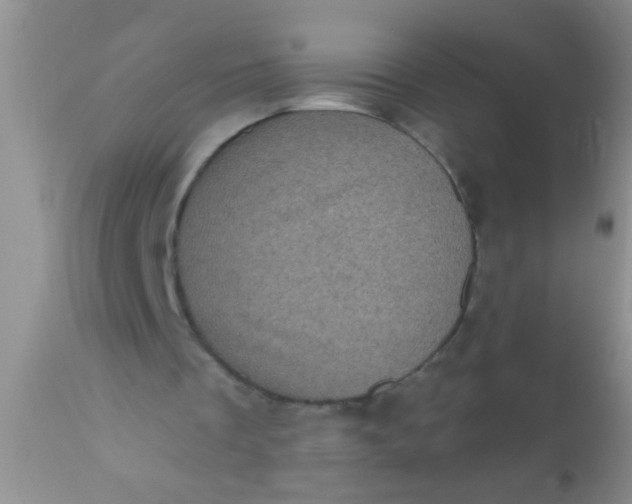 X0000110940289200907022139