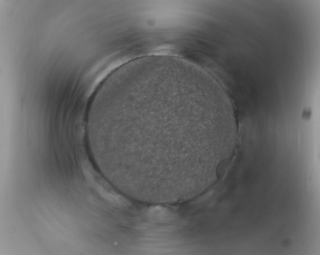 X0000110940290200907022139