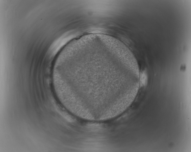 X0000110940291200907022139