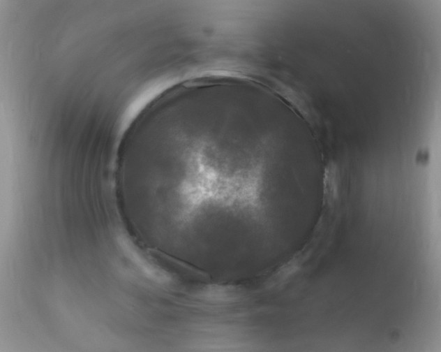 X0000110940292200907022139