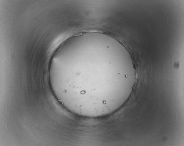 X0000110940293200907022139