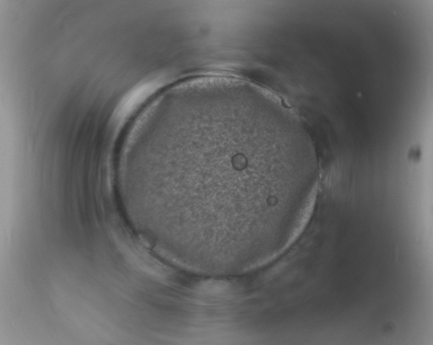 X0000110940294200907022139