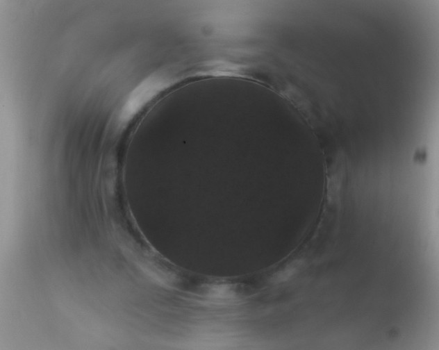 X0000110940295200907022139