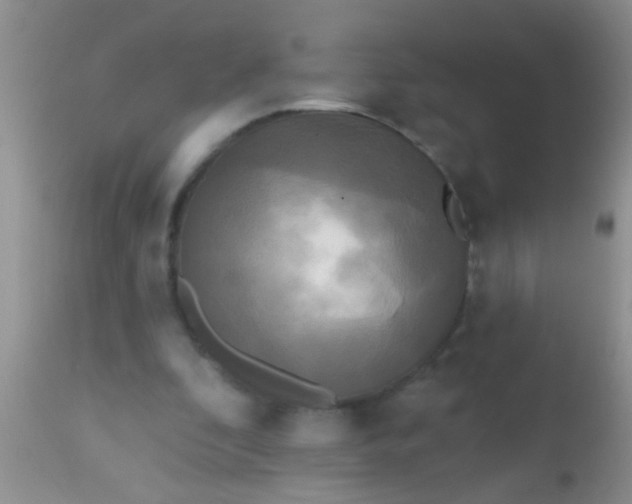 X0000110940296200907022139